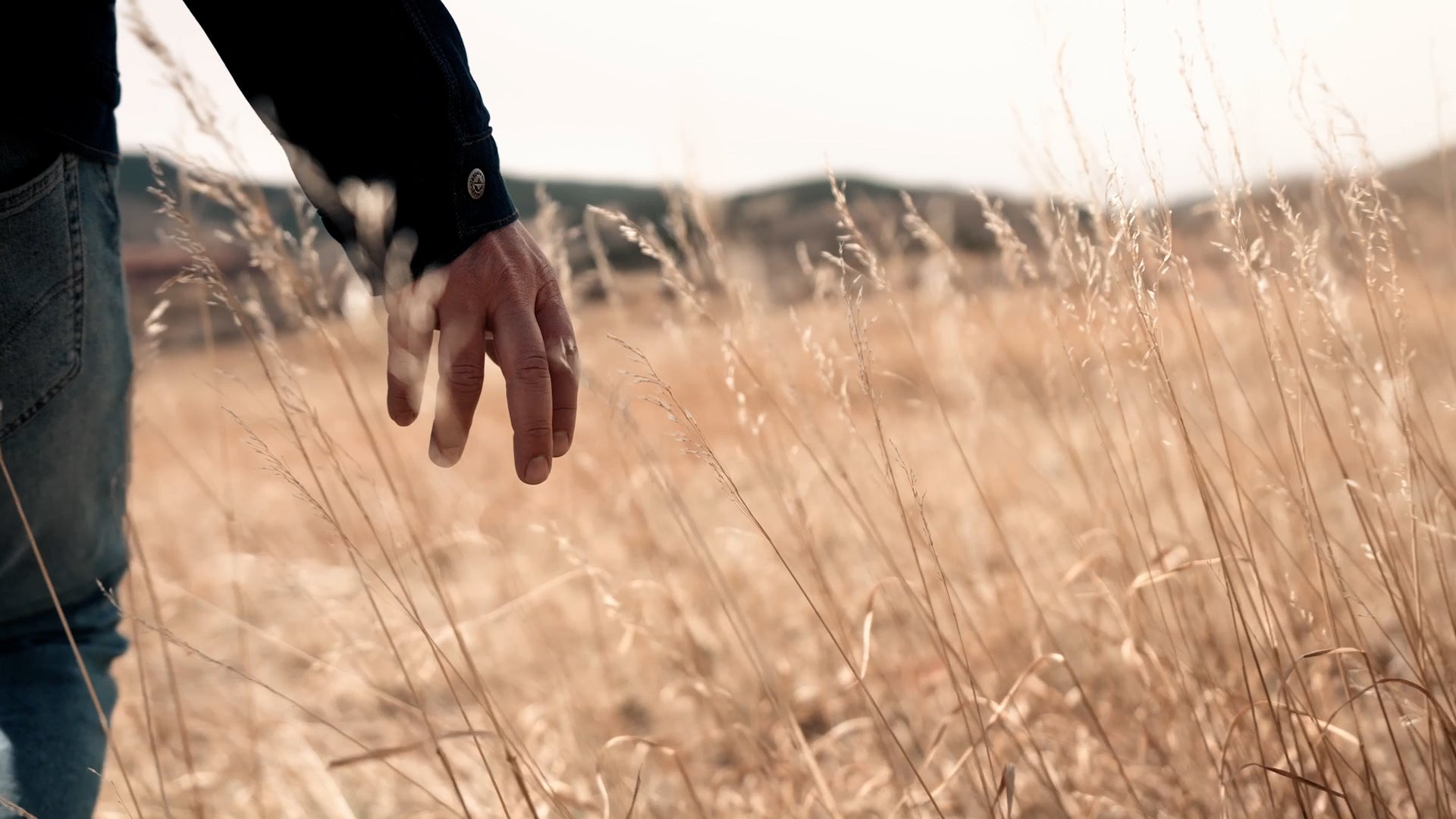 Man touching tall grass