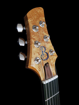 Use for Guitar Page full specs takeover