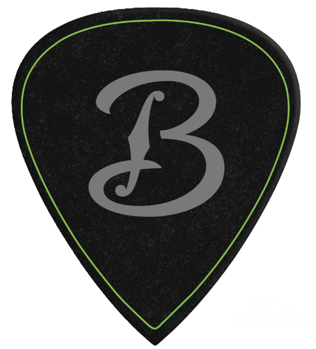 Born Guitar® Picks